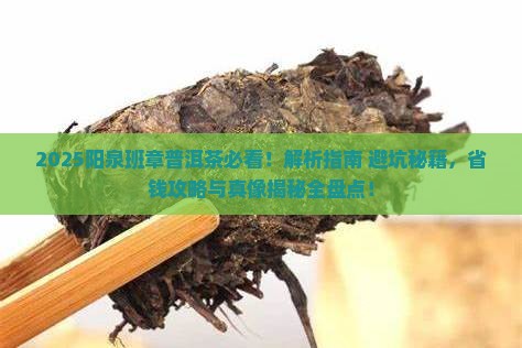 阳泉班章普洱茶