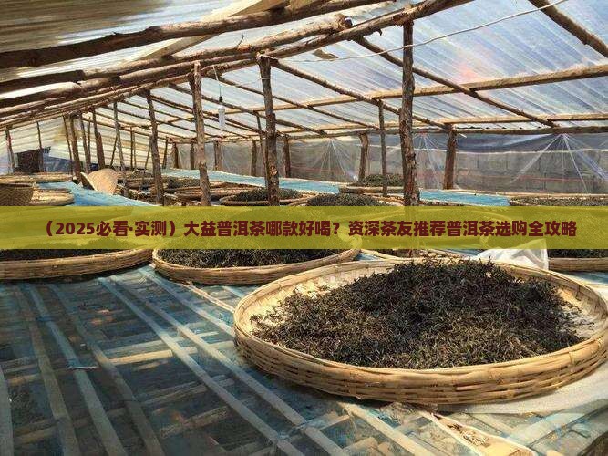 大益生普洱茶哪个好喝