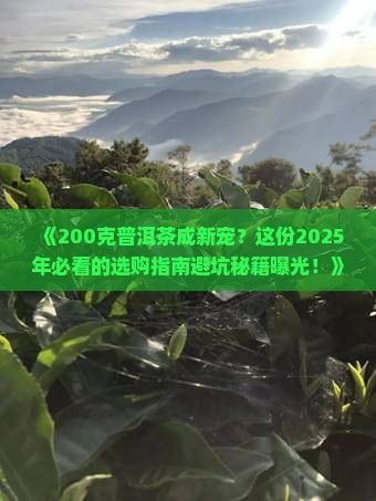现在流行200克普洱茶