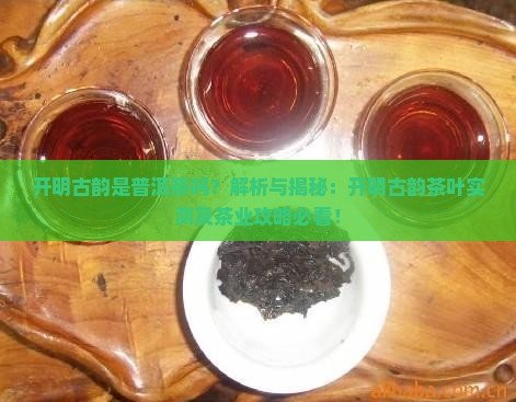 开明古韵是普洱茶吗