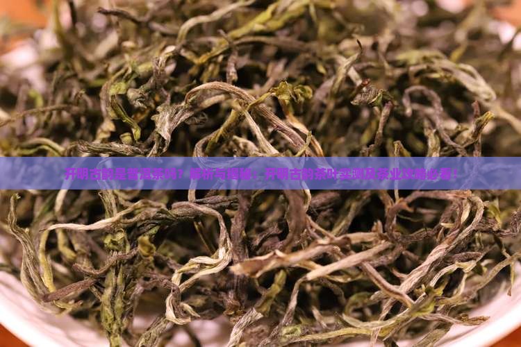 开明古韵是普洱茶吗
