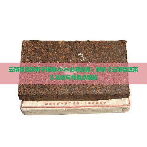 云南普洱茶英子