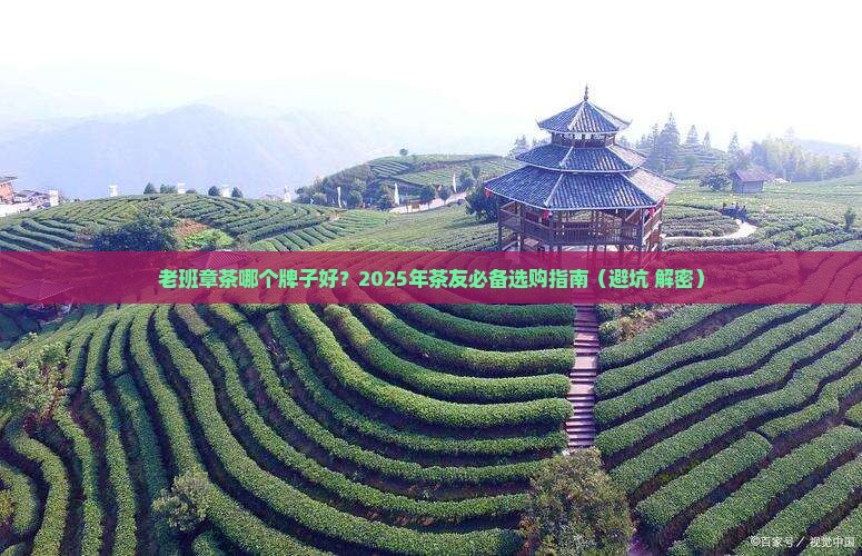 老班章茶什么品牌