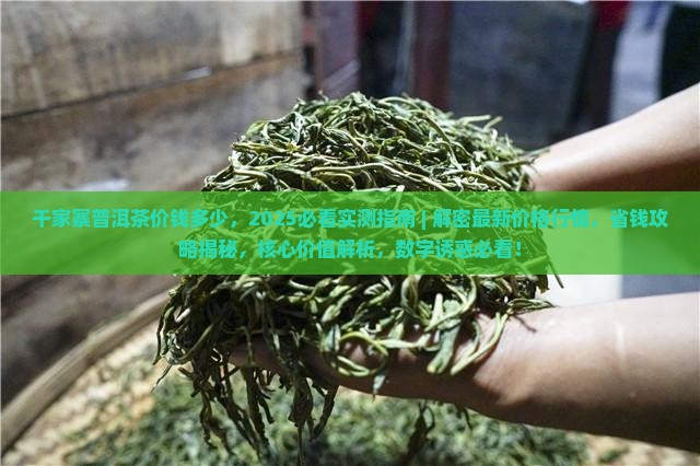 千家寨普洱茶价钱多少