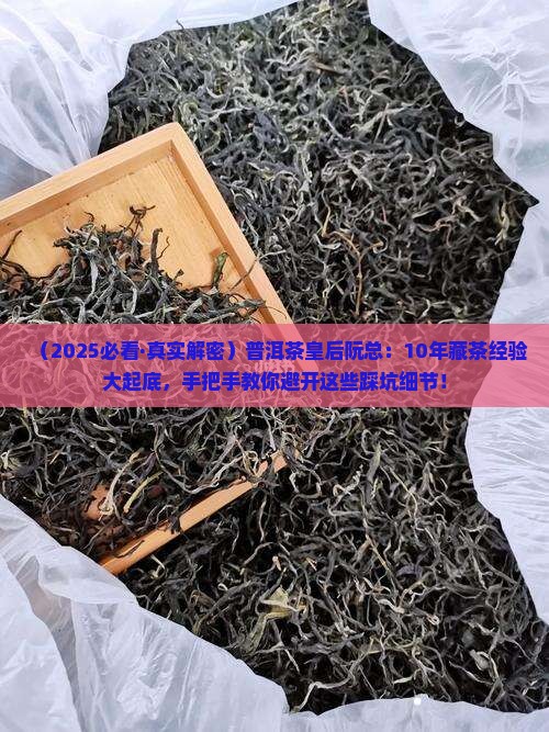 普洱茶皇后阮总