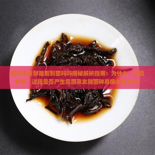 普洱茶发酵能看到菌吗吗
