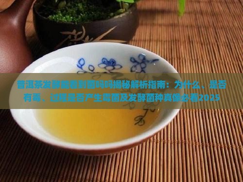 普洱茶发酵能看到菌吗吗