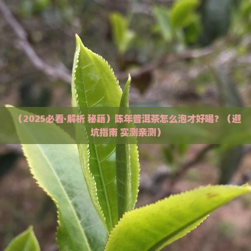 陈年普洱茶好不好泡茶喝 陈年普洱茶好不好泡茶喝