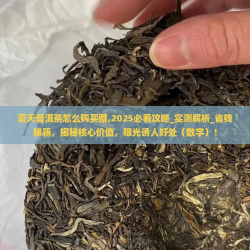 夏天普洱茶怎么购买藏