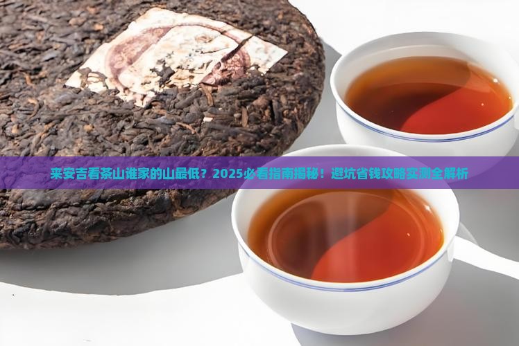来安吉看茶山谁家的山最低