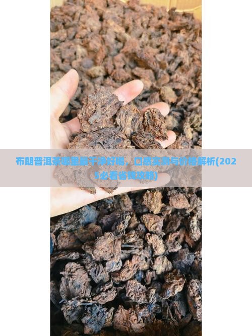 布朗普洱茶哪里最干净