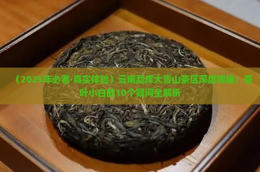 云南省勐库大雪山茶区