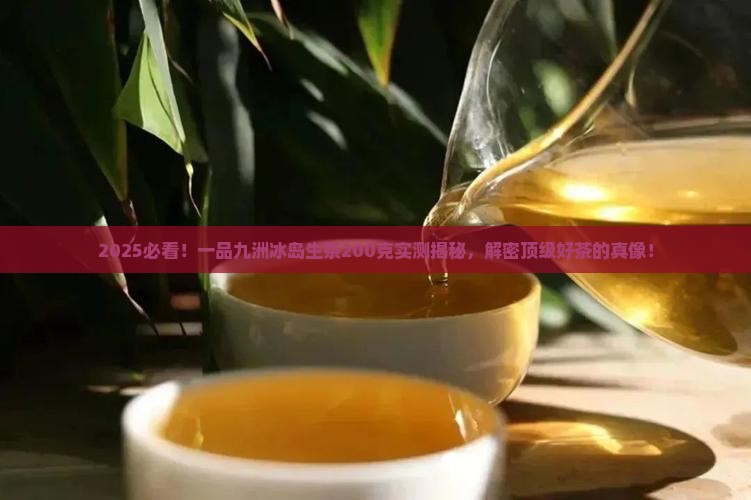 一品九洲冰岛生茶200克