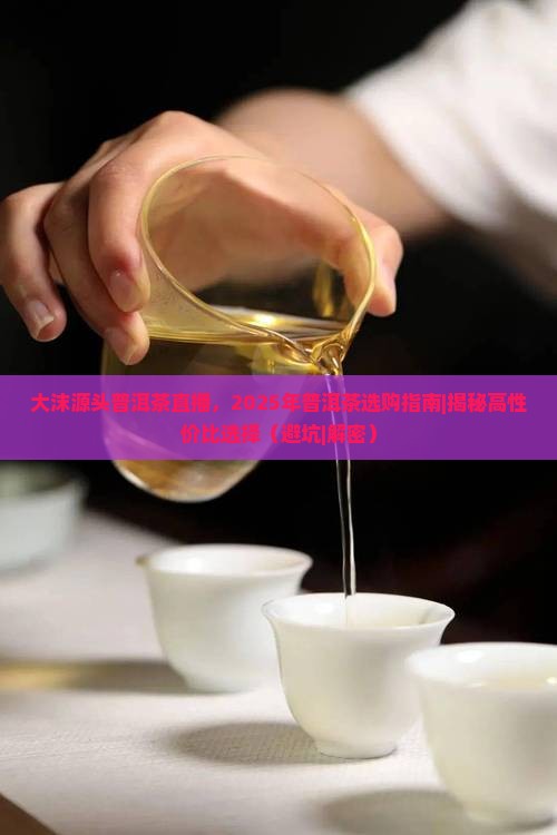 大沫源头普洱茶直播