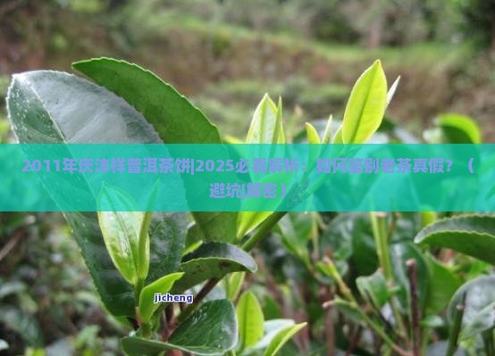 2011年庆沣祥普洱茶饼