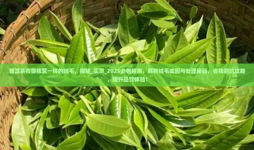普洱茶有像棉絮一样的绒毛