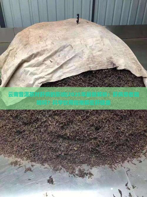 云南普洱茶对肝病的影响