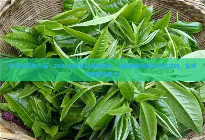 普洱茶百年的兴衰 普洱茶百年的兴衰