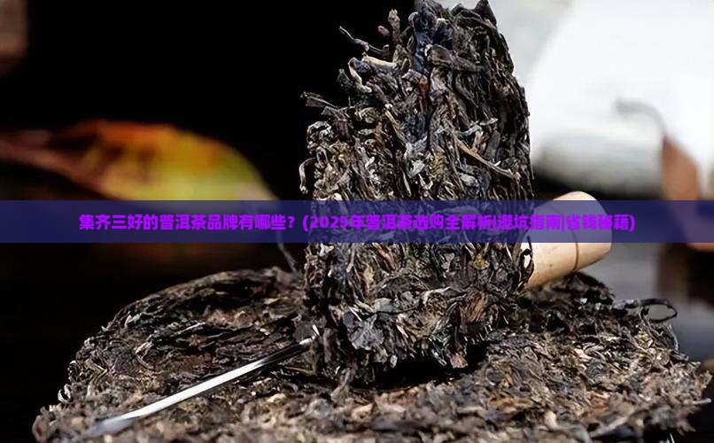 集齐三好的普洱茶品牌有哪些