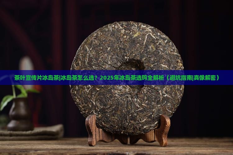 茶叶宣传片冰岛茶