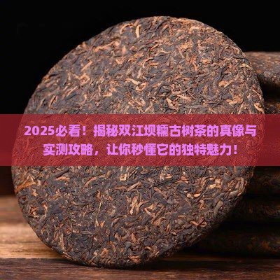 坝糯古树茶特点双江