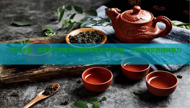 坝糯古树茶特点双江