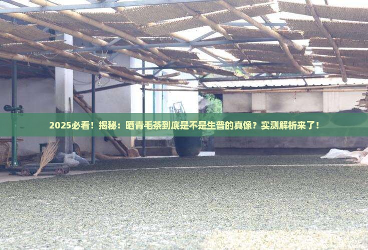 晒青毛茶是生普的味道