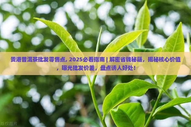 贵港普洱茶批发零售点