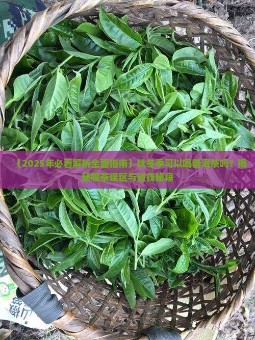 秋冬季可以喝普洱茶吗
