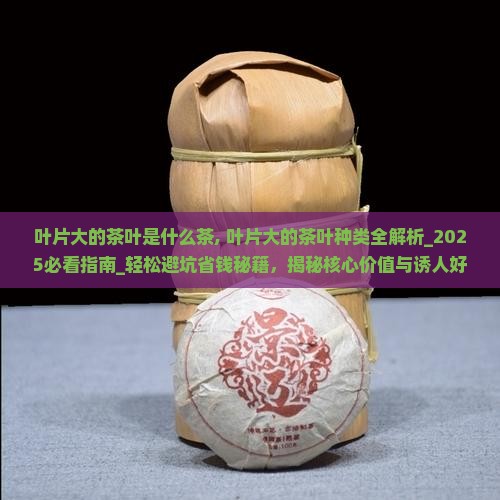 叶片大的茶叶是什么茶 叶片大的茶叶是什么茶