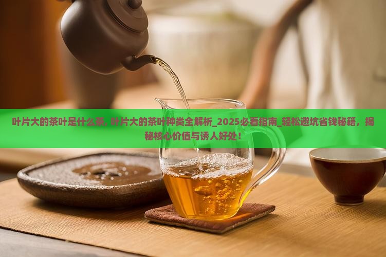 叶片大的茶叶是什么茶 叶片大的茶叶是什么茶