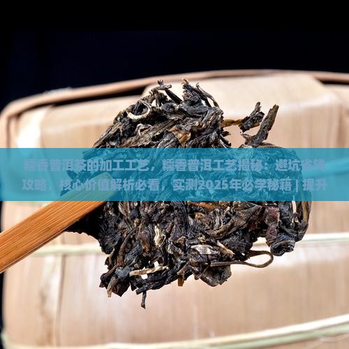 糯香普洱茶的加工工艺