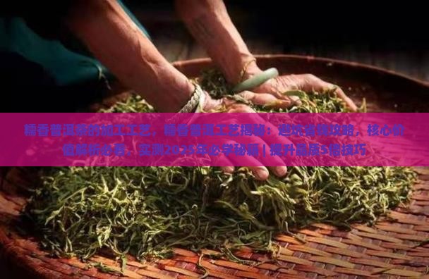 糯香普洱茶的加工工艺