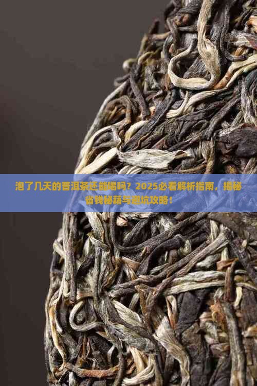 泡了几天的普洱茶还能喝吗