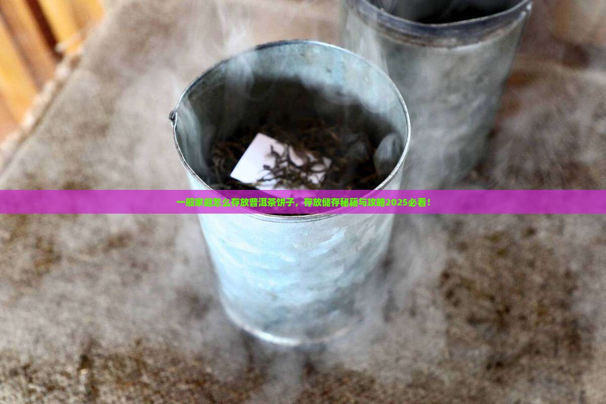 一般家庭怎么存放普洱茶饼子