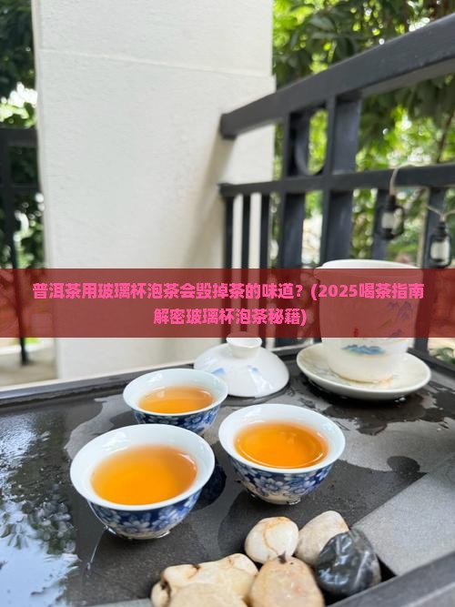 普洱茶用玻璃被泡