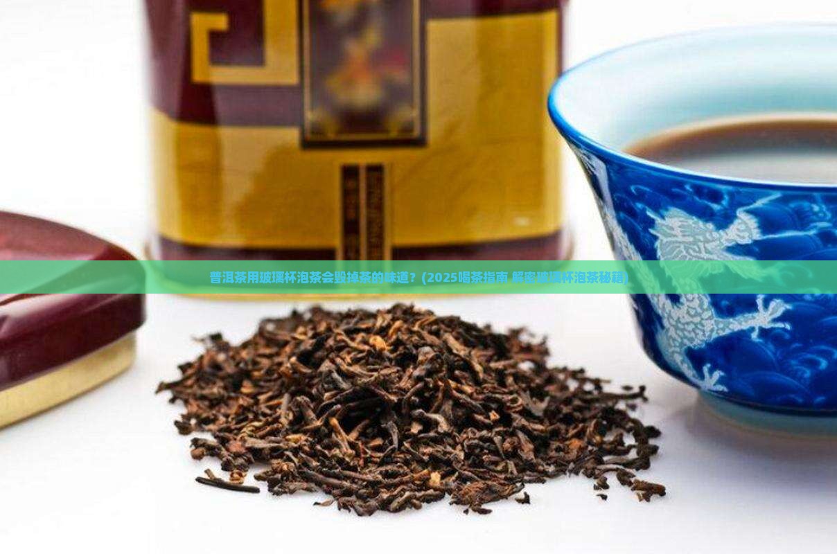 普洱茶用玻璃被泡