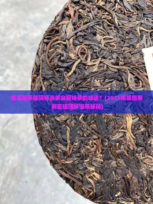 普洱茶用玻璃被泡