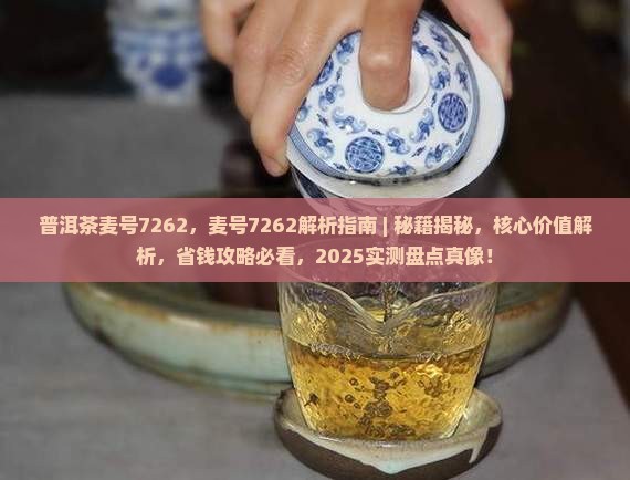 普洱茶麦号7262