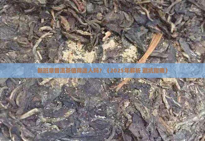 新班章普洱茶值得送人吗