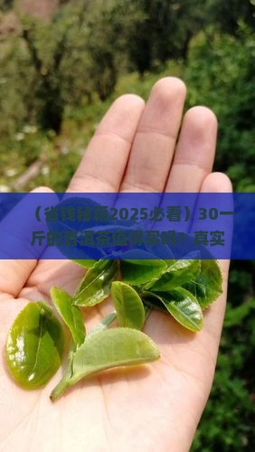 普洱茶30一斤