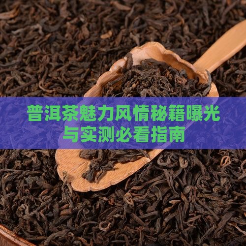 普洱茶的魅力风情万种