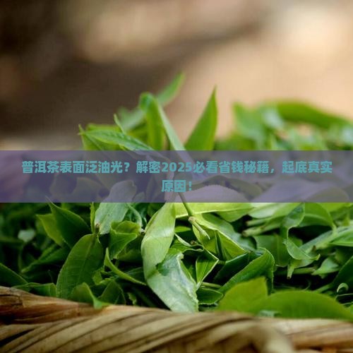 普洱茶为什么漂油