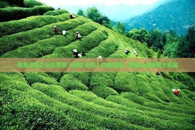 喝普洱茶之后拉黑便