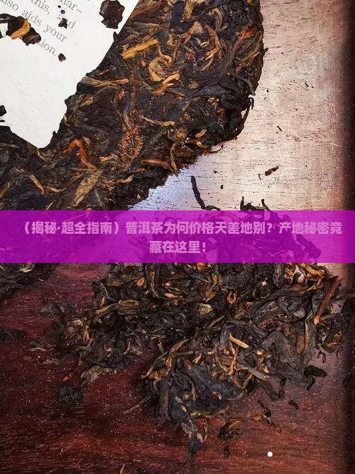 普洱茶的价格与产地在哪里