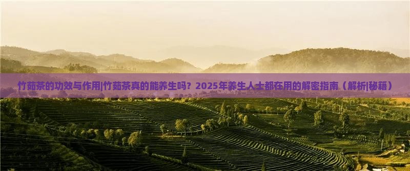竹茹茶的功效与作用