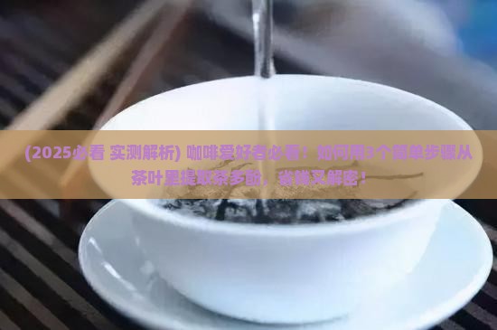 如何提取从茶叶中提取茶多酚