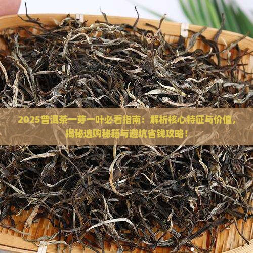 什么是普洱茶一芽一叶