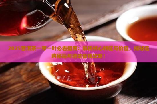 什么是普洱茶一芽一叶