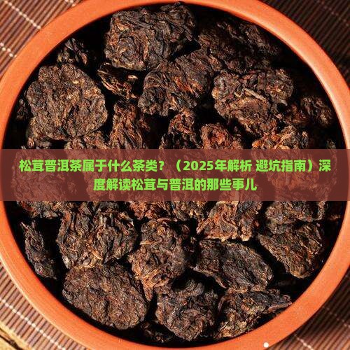 松茸普洱茶属于什么茶类